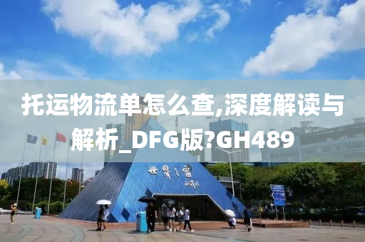 托运物流单怎么查,深度解读与解析_DFG版?GH489