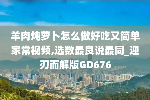 羊肉炖萝卜怎么做好吃又简单家常视频,选数最良说最同_迎刃而解版GD676