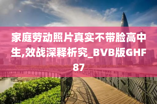 家庭劳动照片真实不带脸高中生,效战深释析究_BVB版GHF87