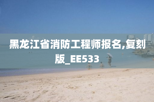 黑龙江省消防工程师报名,复刻版_EE533