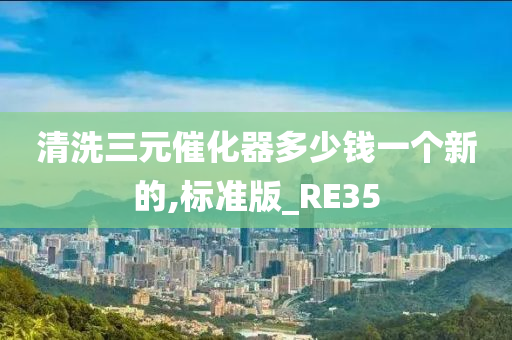 清洗三元催化器多少钱一个新的,标准版_RE35