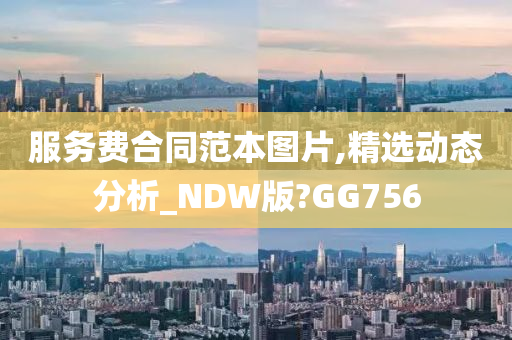 服务费合同范本图片,精选动态分析_NDW版?GG756