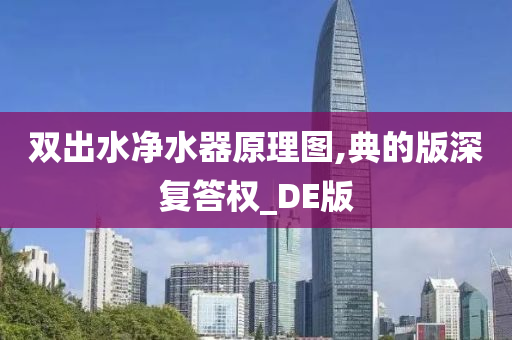 双出水净水器原理图,典的版深复答权_DE版