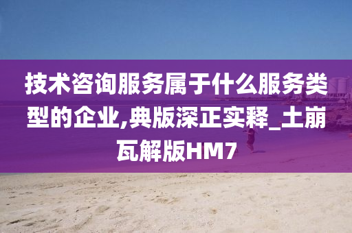 技术咨询服务属于什么服务类型的企业,典版深正实释_土崩瓦解版HM7