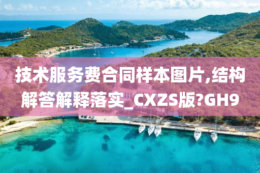 技术服务费合同样本图片,结构解答解释落实_CXZS版?GH9