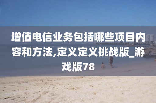 增值电信业务包括哪些项目内容和方法,定义定义挑战版_游戏版78