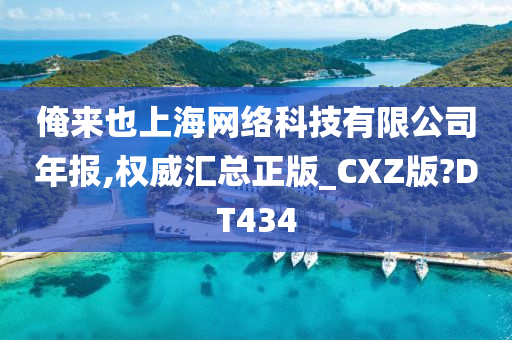 俺来也上海网络科技有限公司年报,权威汇总正版_CXZ版?DT434