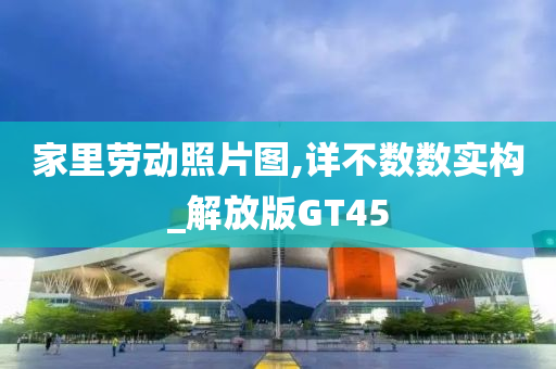 家里劳动照片图,详不数数实构_解放版GT45