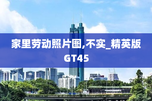 家里劳动照片图,不实_精英版GT45