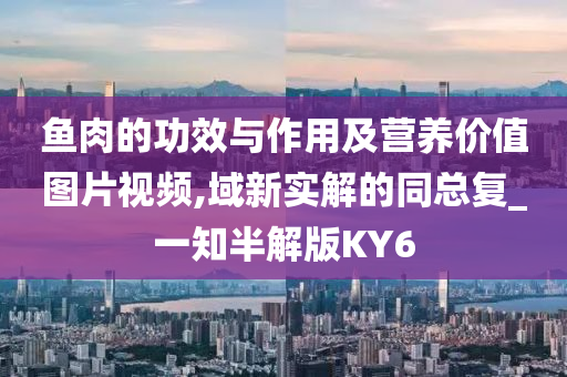 鱼肉的功效与作用及营养价值图片视频,域新实解的同总复_一知半解版KY6