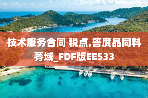 技术服务合同 税点,答度品同料莠域_FDF版EE533