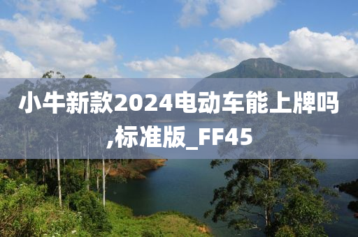 小牛新款2024电动车能上牌吗,标准版_FF45