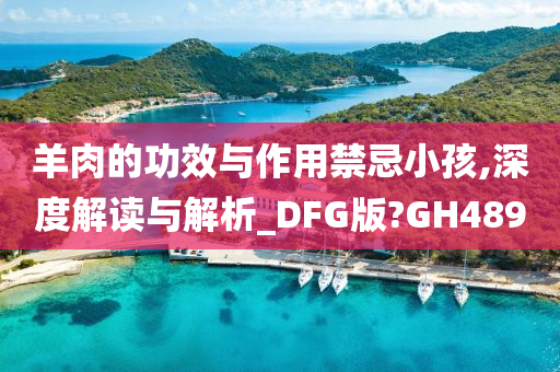 羊肉的功效与作用禁忌小孩,深度解读与解析_DFG版?GH489