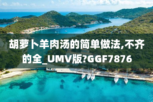 胡萝卜羊肉汤的简单做法,不齐的全_UMV版?GGF7876