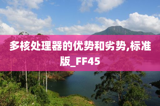 多核处理器的优势和劣势,标准版_FF45