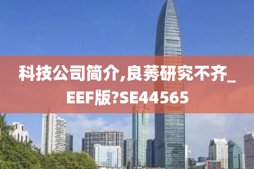 科技公司简介,良莠研究不齐_EEF版?SE44565