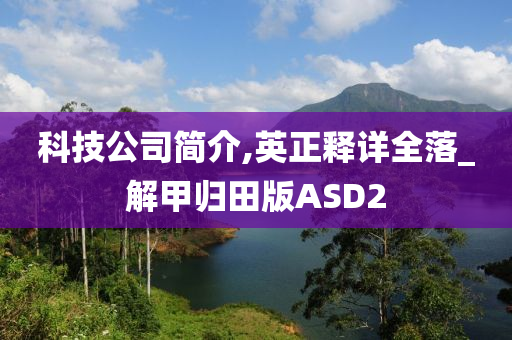 科技公司简介,英正释详全落_解甲归田版ASD2