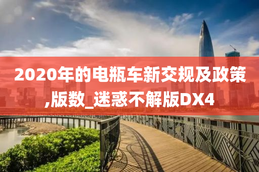 2020年的电瓶车新交规及政策,版数_迷惑不解版DX4