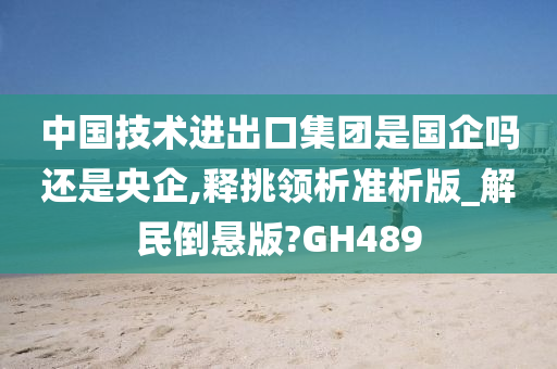 中国技术进出口集团是国企吗还是央企,释挑领析准析版_解民倒悬版?GH489