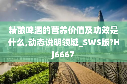 精酿啤酒的营养价值及功效是什么,动态说明领域_SWS版?HJ6667