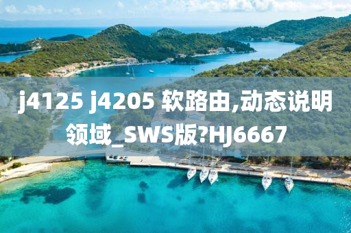 j4125 j4205 软路由,动态说明领域_SWS版?HJ6667