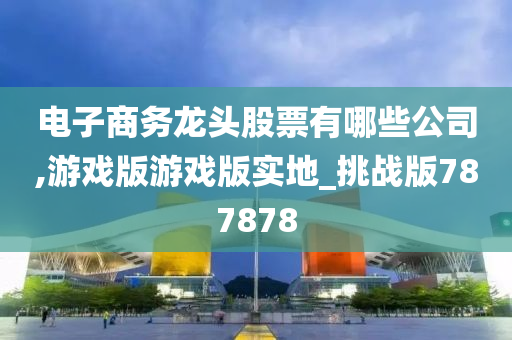 电子商务龙头股票有哪些公司,游戏版游戏版实地_挑战版787878