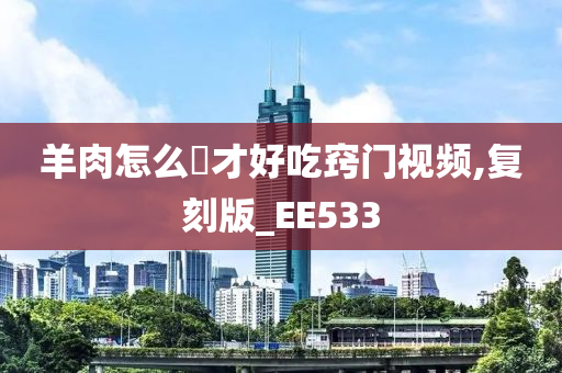 羊肉怎么炆才好吃窍门视频,复刻版_EE533