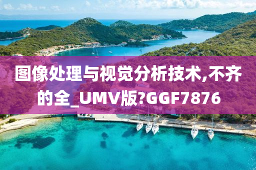 图像处理与视觉分析技术,不齐的全_UMV版?GGF7876