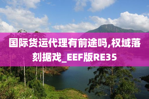 国际货运代理有前途吗,权域落刻据戏_EEF版RE35