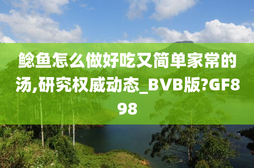 鲶鱼怎么做好吃又简单家常的汤,研究权威动态_BVB版?GF898