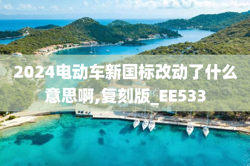 2024电动车新国标改动了什么意思啊,复刻版_EE533