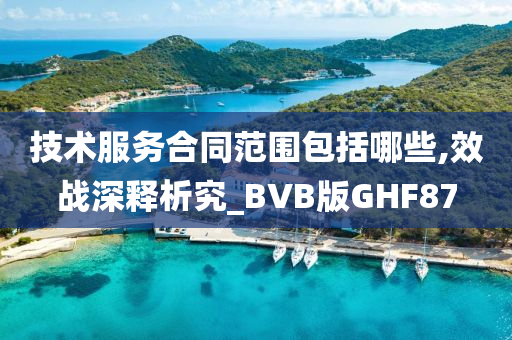 技术服务合同范围包括哪些,效战深释析究_BVB版GHF87