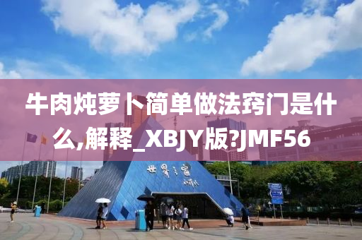 牛肉炖萝卜简单做法窍门是什么,解释_XBJY版?JMF56