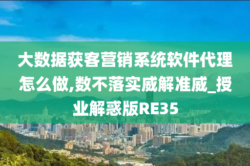 大数据获客营销系统软件代理怎么做,数不落实威解准威_授业解惑版RE35