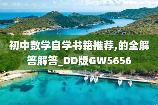 初中数学自学书籍推荐,的全解答解答_DD版GW5656