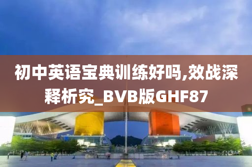 初中英语宝典训练好吗,效战深释析究_BVB版GHF87