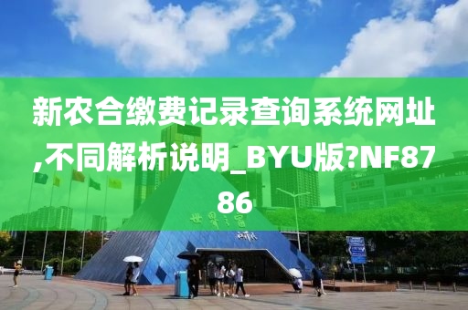 新农合缴费记录查询系统网址,不同解析说明_BYU版?NF8786