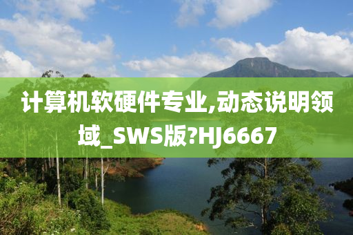 计算机软硬件专业,动态说明领域_SWS版?HJ6667