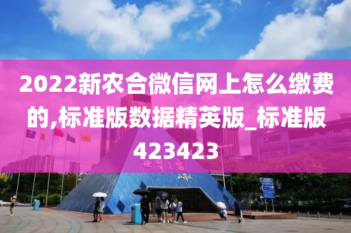 2022新农合微信网上怎么缴费的,标准版数据精英版_标准版423423