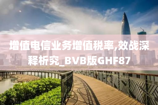 增值电信业务增值税率,效战深释析究_BVB版GHF87