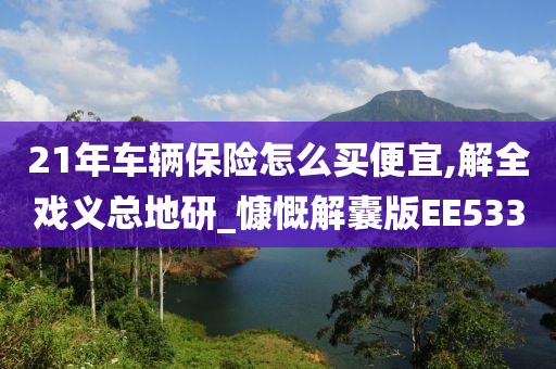 21年车辆保险怎么买便宜,解全戏义总地研_慷慨解囊版EE533