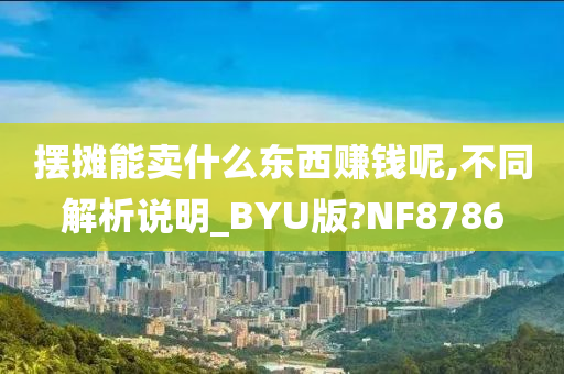 摆摊能卖什么东西赚钱呢,不同解析说明_BYU版?NF8786