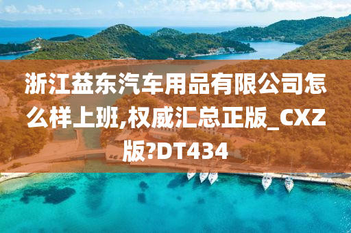 浙江益东汽车用品有限公司怎么样上班,权威汇总正版_CXZ版?DT434