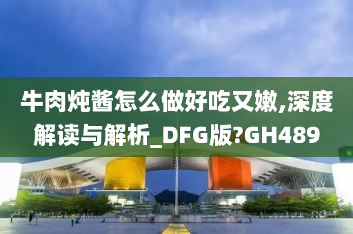 牛肉炖酱怎么做好吃又嫩,深度解读与解析_DFG版?GH489