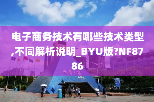 电子商务技术有哪些技术类型,不同解析说明_BYU版?NF8786