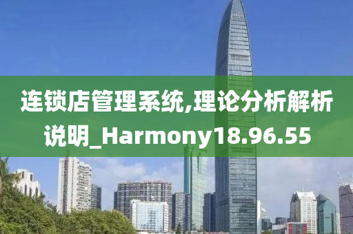 连锁店管理系统,理论分析解析说明_Harmony18.96.55