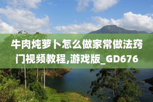 牛肉炖萝卜怎么做家常做法窍门视频教程,游戏版_GD676