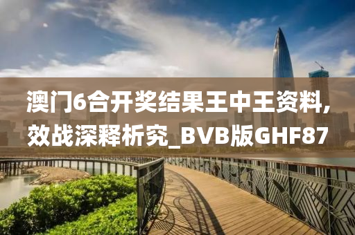 澳门6合开奖结果王中王资料,效战深释析究_BVB版GHF87