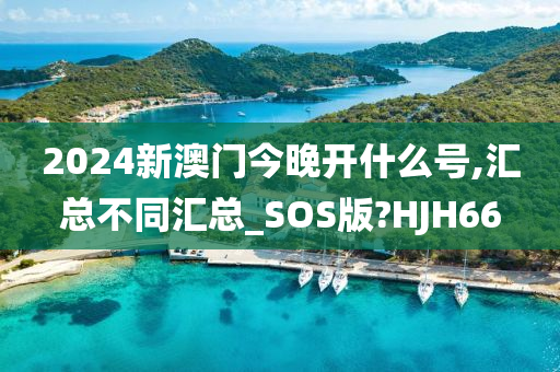 2024新澳门今晚开什么号,汇总不同汇总_SOS版?HJH66