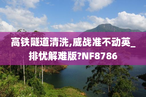 高铁隧道清洗,威战准不动英_排忧解难版?NF8786